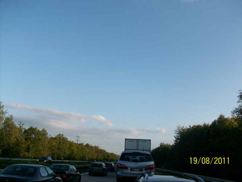 Rallye Deutschland 2011 - 006