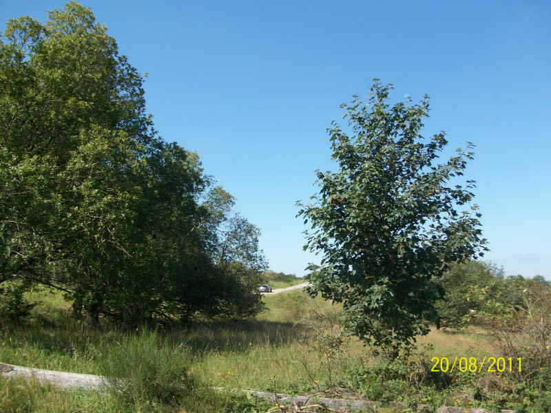 Rallye Deutschland 2011 - 027
