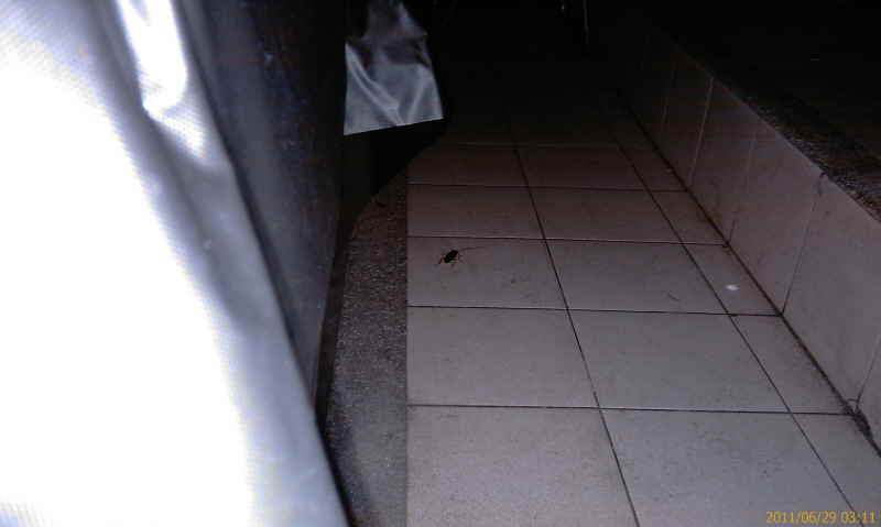 Urlaub Sommer 2011 1 Bangkok - 14