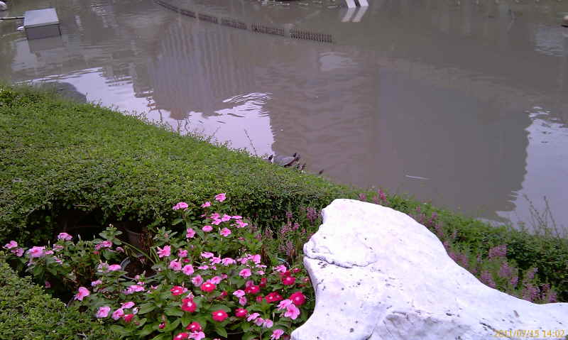 Urlaub Sommer 2011 4 Bangkok - 13