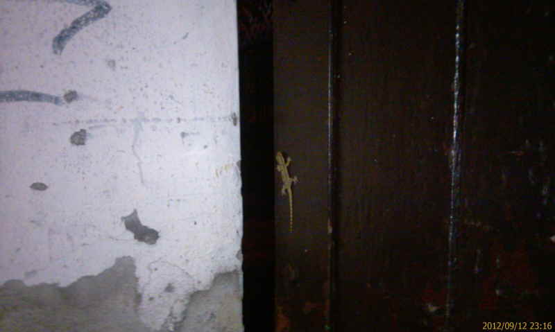 Urlaub Sommer 2012 6 Bangkok 71