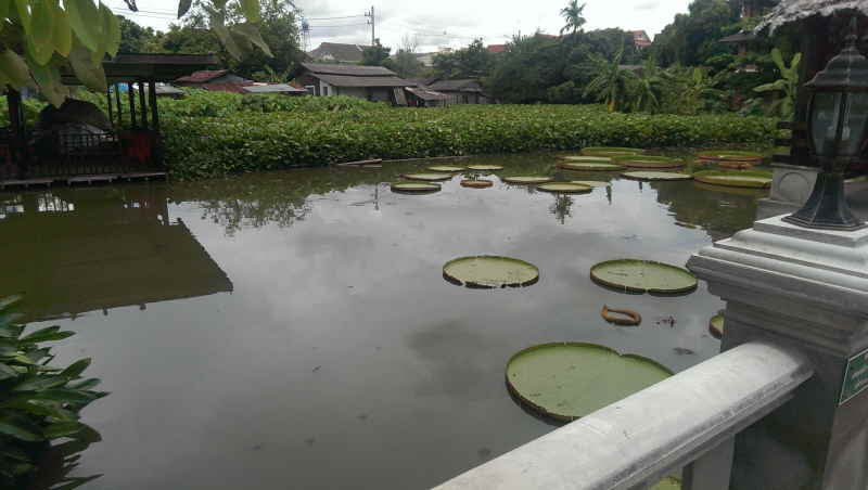 Urlaub Sommer 2013 2 Chiang Mai 18