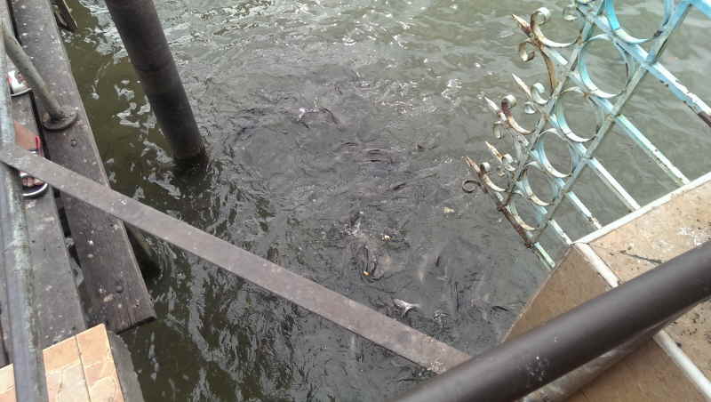 Urlaub Sommer 2013 4 Bangkok 38