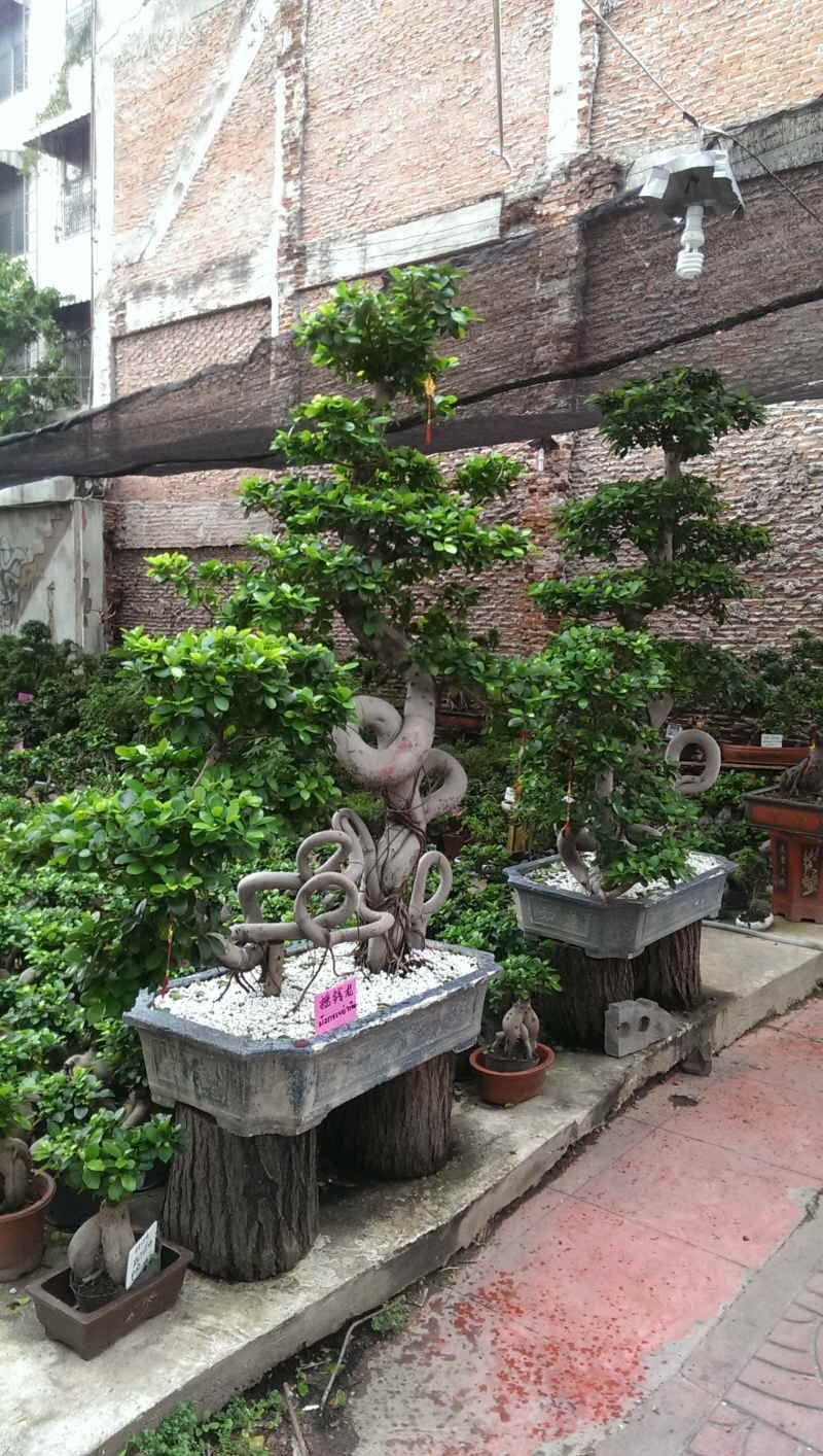 Urlaub Sommer 2014 1 Bangkok - 06