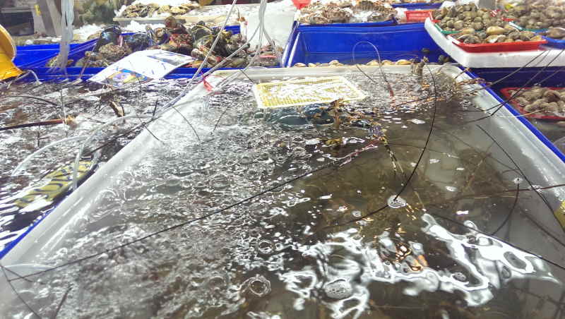 Urlaub Sommer 2014 2 Phuket Patong - 20