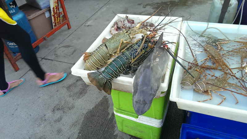 Urlaub Sommer 2014 2 Phuket Patong - 92